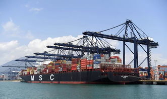 開門紅 127.65萬 鹽田港集團1月集裝箱吞吐量同比增長3.12